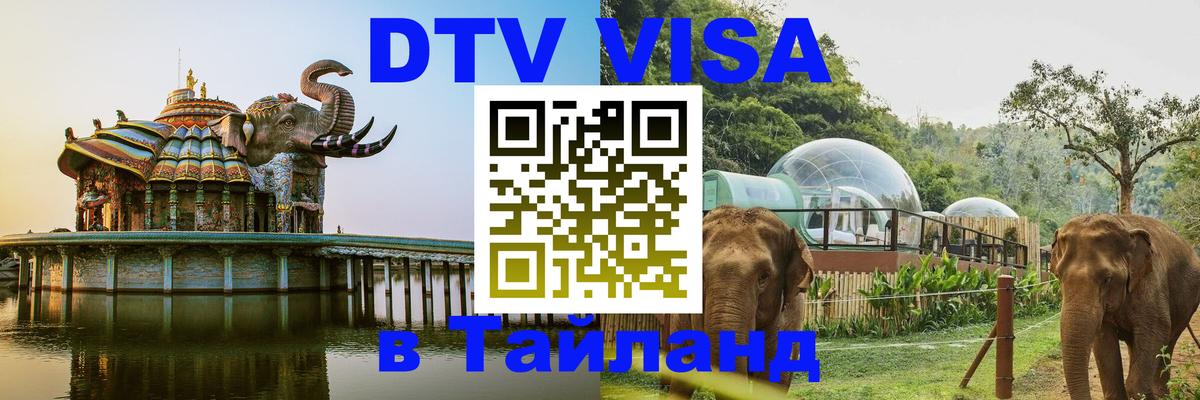 Оформление DTV визы под ключ: стоимость и тарифы, только загранпаспорт - 